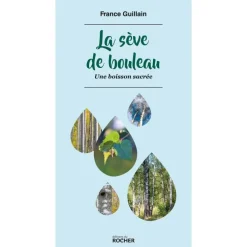 La sève de Bouleau – Une boisson sacrée