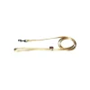 Laisse chien nylon 10 mm / 120 cm beige