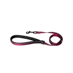 Laisse chien nylon 16 mm / 100 cm bordeaux soie
