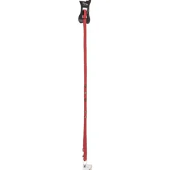 Laisse rock Petmini rouge Brandy et fils – 10 mm x 1, 2 m
