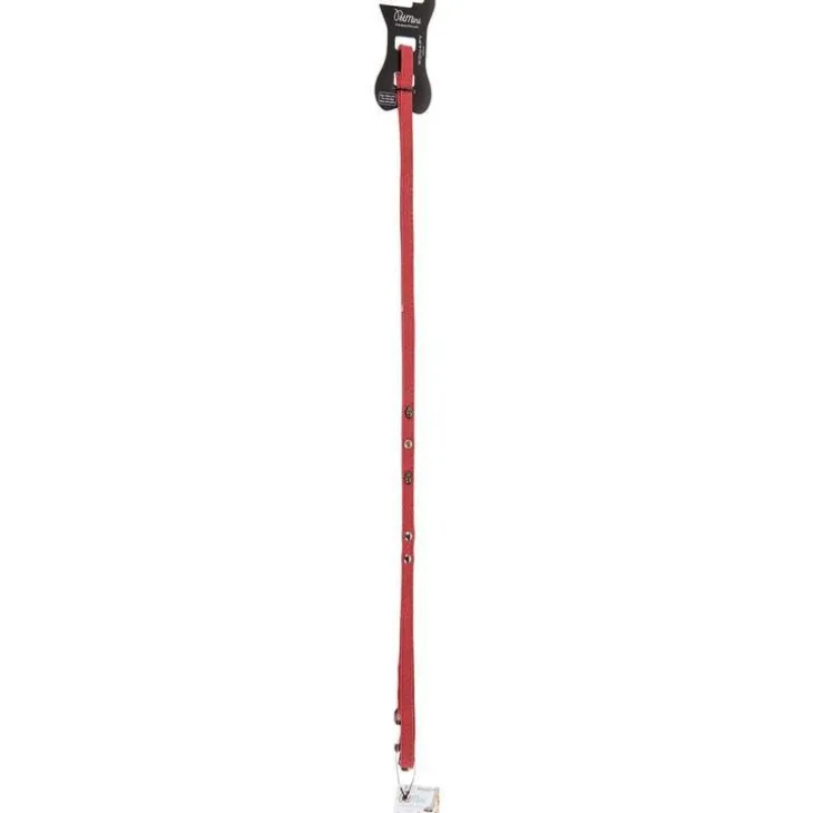 Laisse rock Petmini rouge Brandy et fils – 10 mm x 1, 2 m