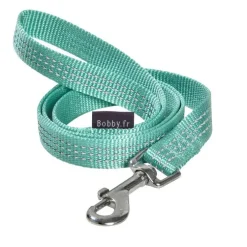Laisse Safe 25 mm lagon