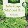 Laitue à couper Salad Bowl Verte Vilmorin - graines à semer