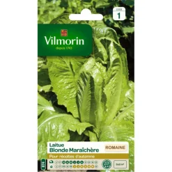 Laitue Romaine Blonde Maraîchère Vilmorin - graines à semer