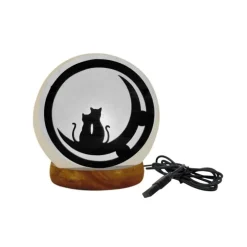 Lampe USB chats coloris blanc au sel d'Himalaya Idea For Project - 700 g