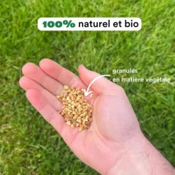 Larvicides anti-moustiques efficace en 48h Bleen - 200m²