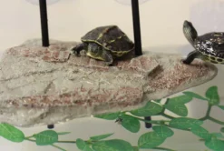 Île flottante pour tortue aquatique avec ascenseur coloris marron Reptile Planet Turtle Island - Taille S - 17 x 12,5 x 2,3 cm