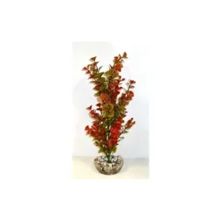 Ledwiga vert-rouge en plastique grand modèle 24 cm