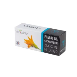 Lingot Fleurs de Courgette Bio