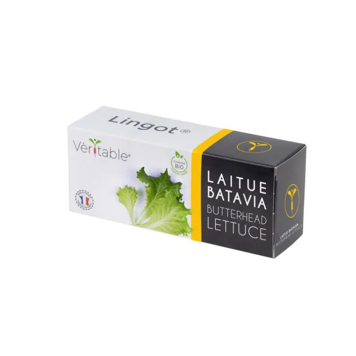 Lingot Laitue Batavia Bio