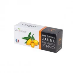 Lingot® Mini tomate jaune pour potager Véritable
