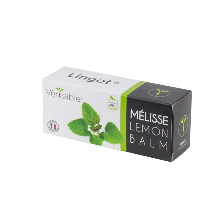 Lingot Mélisse Bio