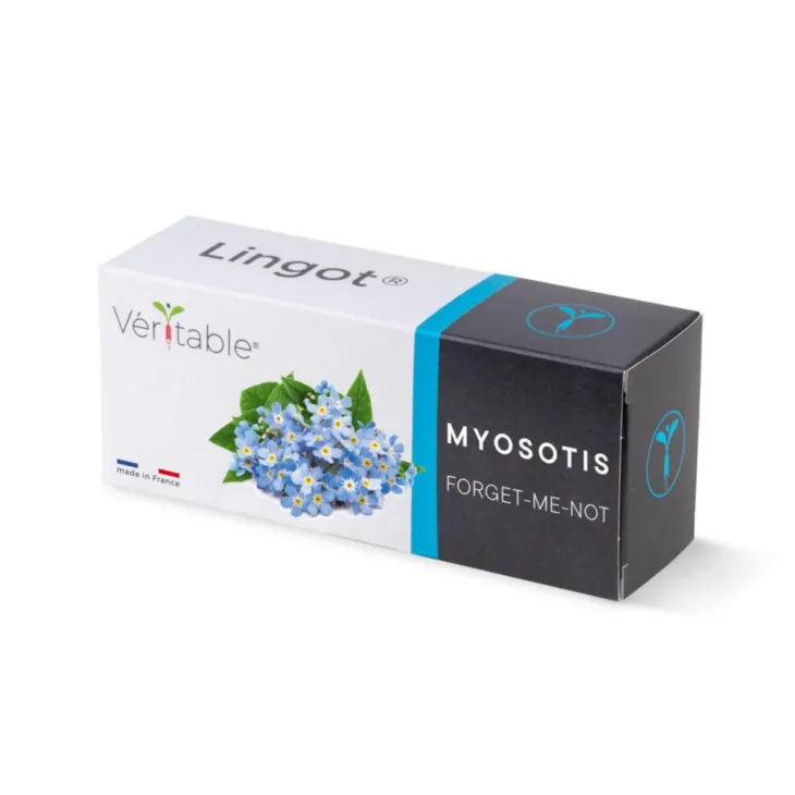 Lingot® Myosotis Véritable®