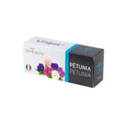 Lingot Pétunia Bio