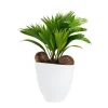 Livistona Avani – Pot céramique blanc