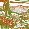 Livre "La transition agroécologique" Éditions Terre Vivante