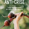 Livre Le potager anti-crise aux Éditions Ulmer - 224 pages