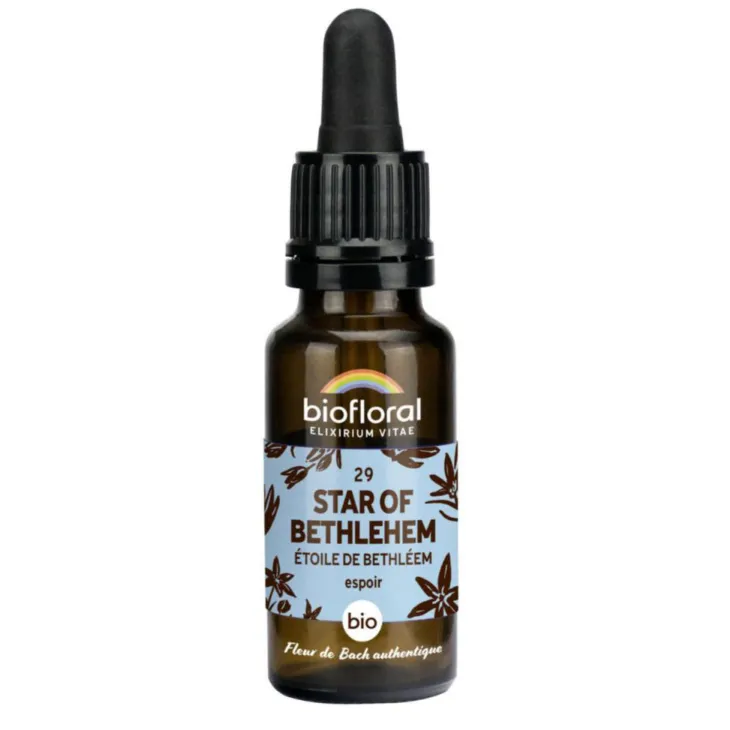 Élixir n°29 Biofloral d’étoile de Bethléem en flacon de 20 ml