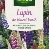 Lupin de Russel Varié Vilmorin - graines à semer
