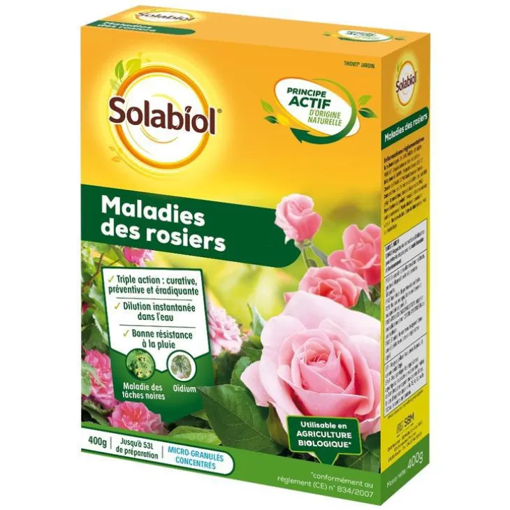 Maladies des rosiers