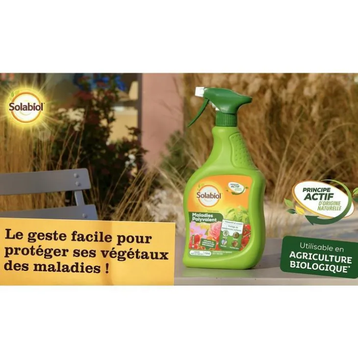 Maladies Polyvalent Spray 750 ml