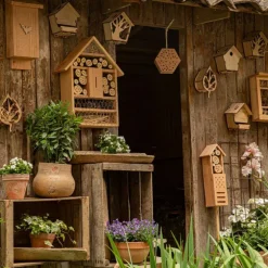 Mangeoire pour écureuil en bois coloris naturel