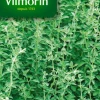 Marjolaine ordinaire Vilmorin - graines à semer