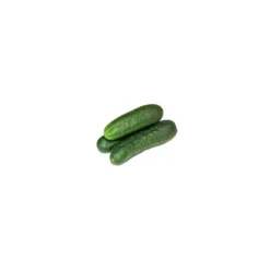 Mini concombre bio d'Espagne - Prix à la pièce