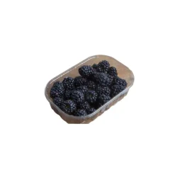 Mûres bio du Portugal - Barquette de 125 g