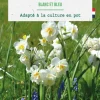Muscari et narcisse pluriflore en mélange - 24 bulbes