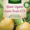 Navet Jaune Boule d'Or Vilmorin - graines à semer