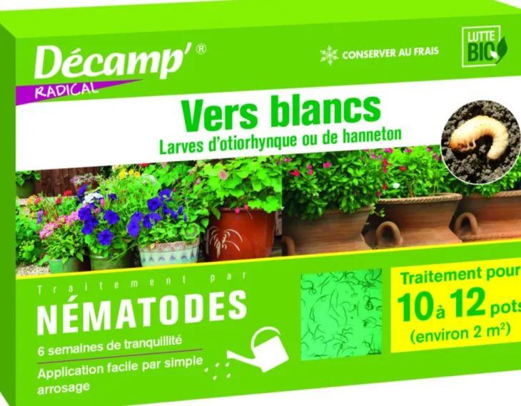 Nématodes contre vers blancs 10 plantes