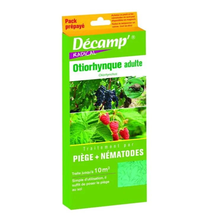 Nématodes piège othyorynque