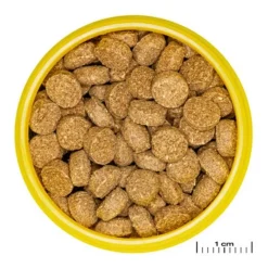 Nourriture pour crabe wafer - riche en protéines JBL ProNovo - 125g / 250ml