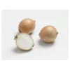 Oignon Sturon AB bio calibre 10/21 botanic® bulbes à planter - Le filet de 250 g