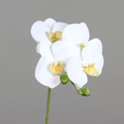 Orchidée tige crème artificielle Real Touch - 66 cm