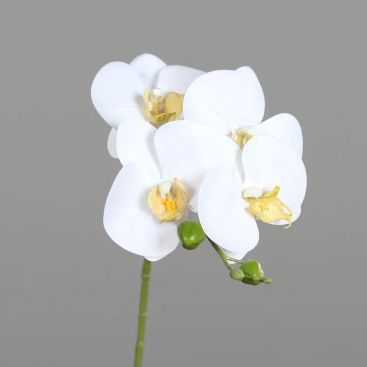 Orchidée tige crème artificielle Real Touch - 66 cm