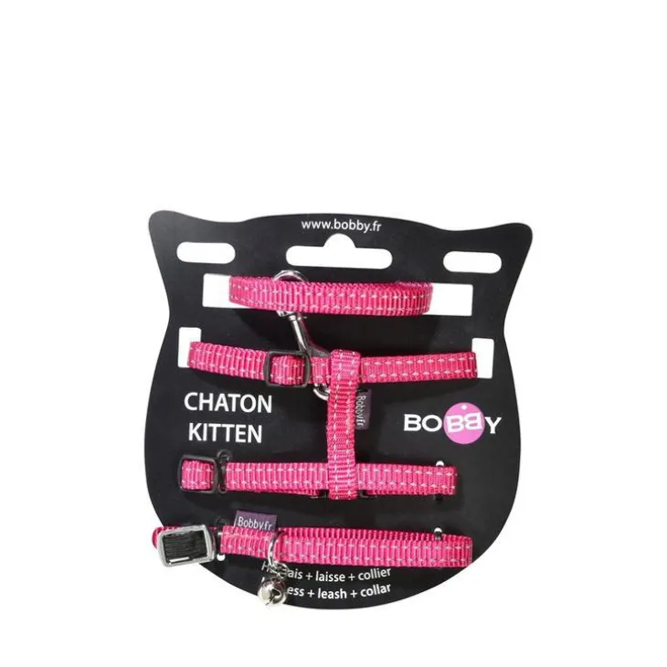 Pack chaton Safe rose