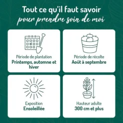 Pecher Reine Des Vergers. Le pot de 12 litres, forme gobelet