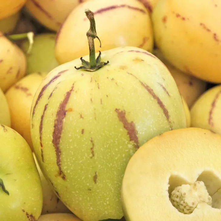 Pepino Poire Melon Bio. Le pot de 1 litre