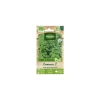 Persil à feuilles Commun 2 Bio Vilmorin - graines à semer