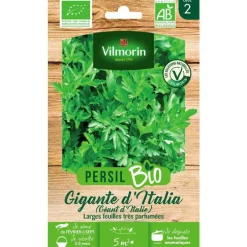 Persil Gigante d'Italia Bio Vilmorin - graines à semer