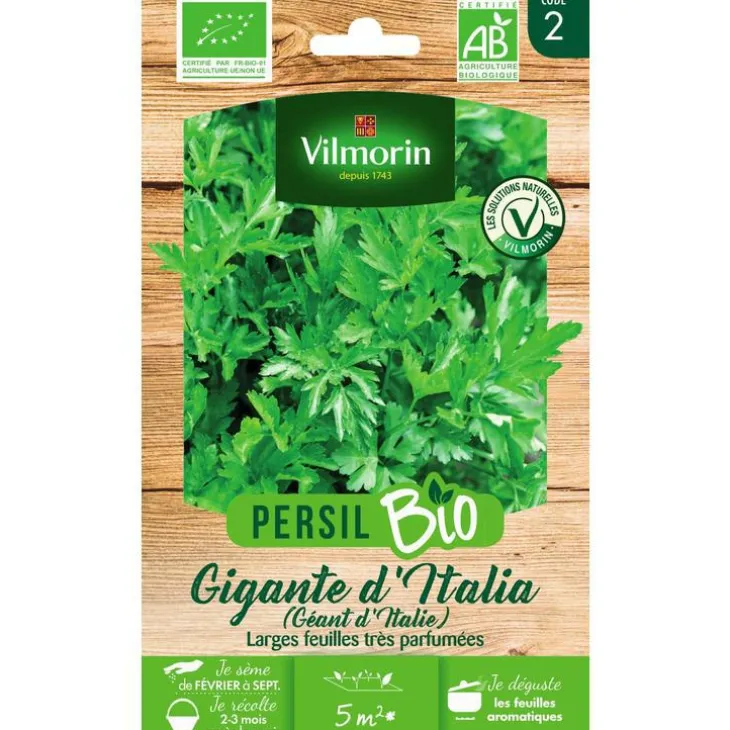 Persil Gigante d'Italia Bio Vilmorin - graines à semer