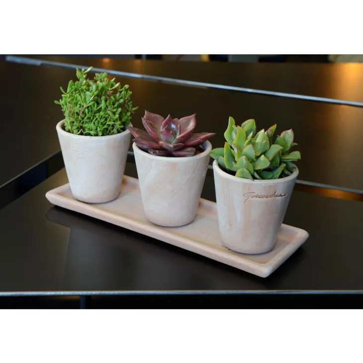 Petit cuvier rose Ø 10 cm