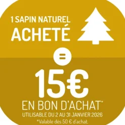 Petit sapin naturel épicéa Picea Pungens Super Blue. Le pot de 3 litres