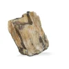 Pierre décorative pour aquarium coloris marron Aquavie bois fossilisé - Taille S