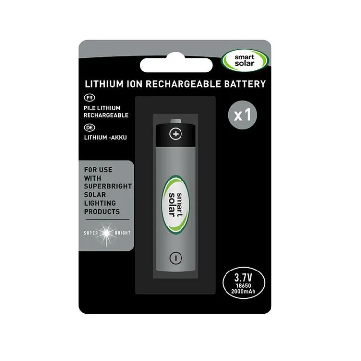 Pile au lithium rechargeable 3,7 V 2000 mAh Smart Garden