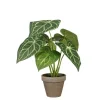Plante artificielle Caladium vert en pot gris Stan - Ø 21 x H 28 cm