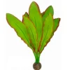 Plante artificielle d'aquarium Aponogeton, résistante, SUPERFISH