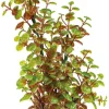 Plante artificielle pour aquarium ou terrarium coloris vert Rotala SuperFish Art Plant M - 25 cm